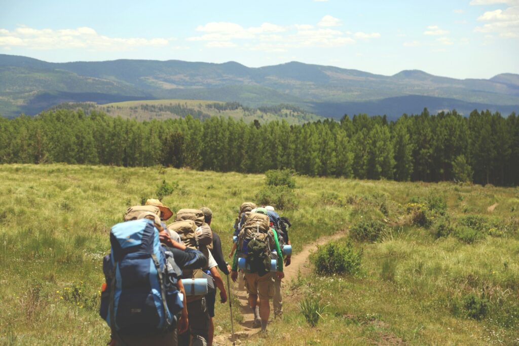 Group of people walking on pathway between green grass background of tree